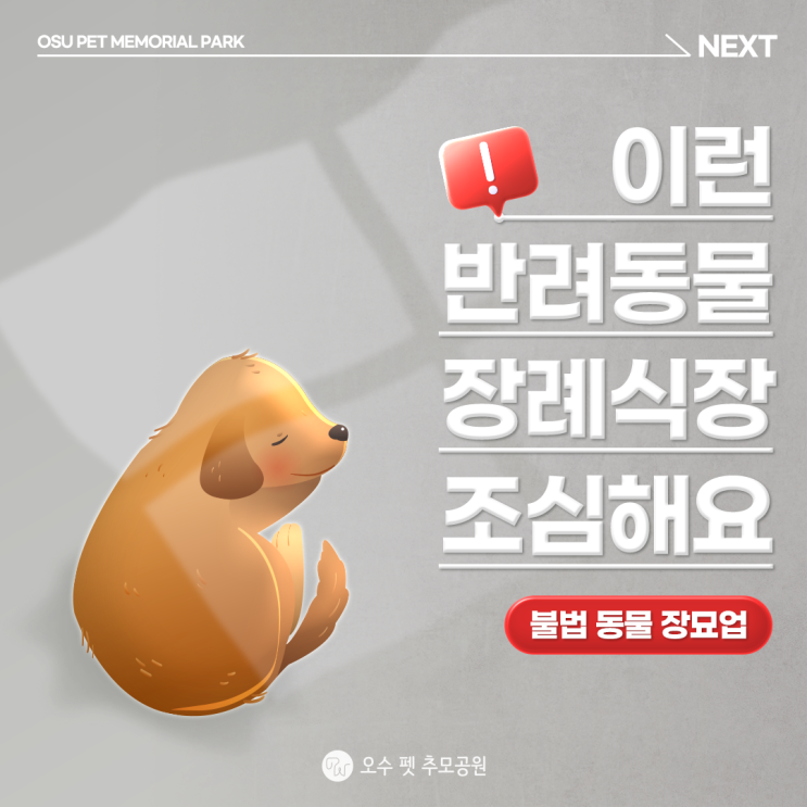  광주강아지장례식장 이런 반려동물 장례식장 조심해요! 불법동물장묘업