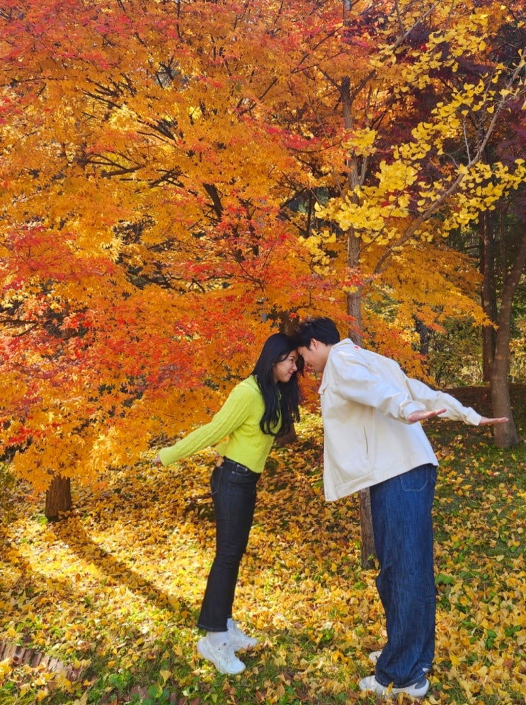커플 사진 찍기 좋은 숨은 단풍 명소! 원주 한라대학교 캠퍼스에서 가을 산책