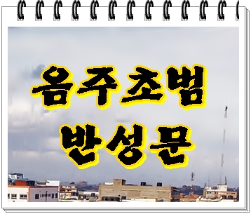  음주운전 초범 반성문 이것만 보시면 됩니다