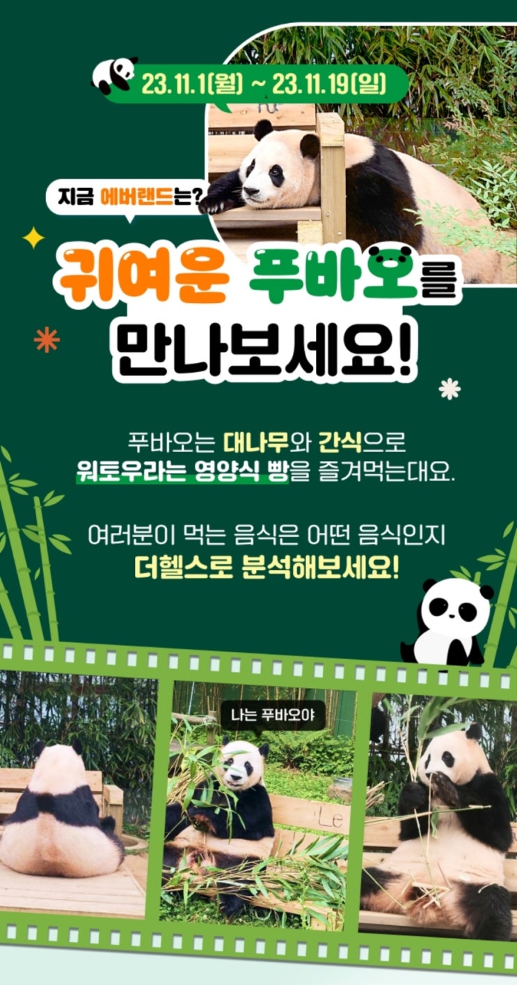  푸바오 테마 식사 인증 챌린지 | 러바오 사진에 푸바오라고 말풍선 해놓은 엉망진창 더헬스 ㅋㅋㅋ