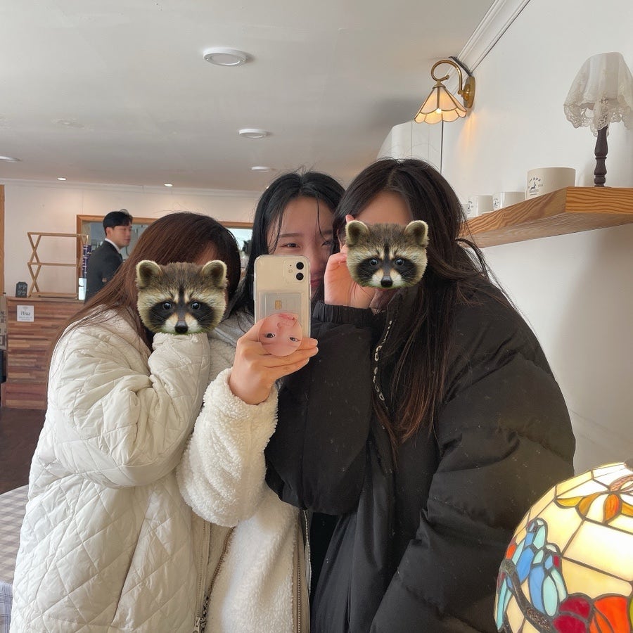 힐링인더포레스트캠핑장 사진 5