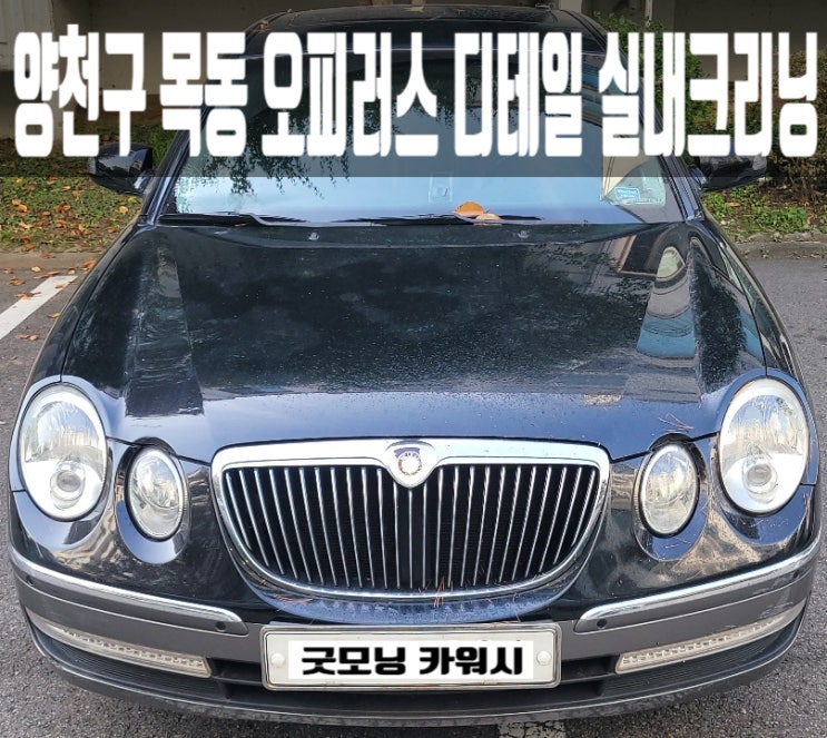  목동 오피러스 실내세차 곰팡이 원인과 양천구 에바크리닝 후기