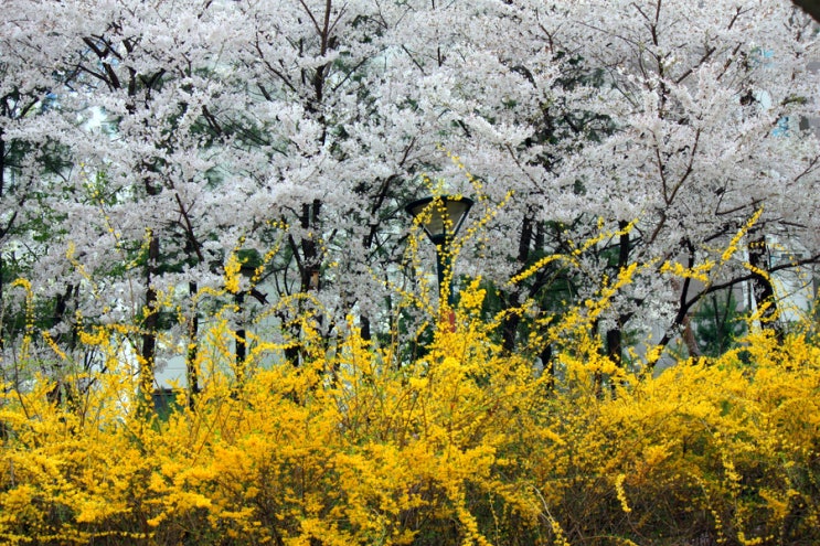  법률상담-수술실에서 마취한 환자가 혈압저하로 사망한 경우 의사의 업무상 과실치사죄 성립 요건