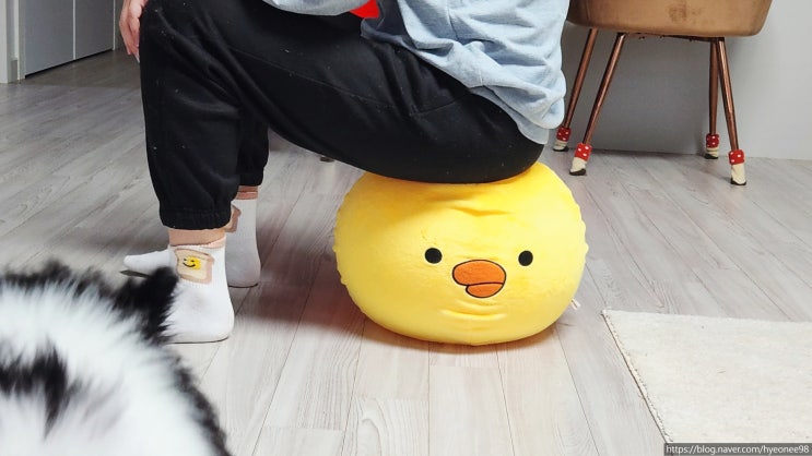  귀여운 미니짐볼 후기 50kg 넘는 사람이 사용해봄