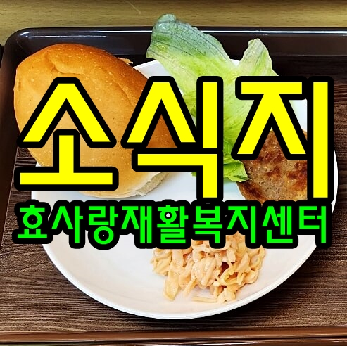  2023년 11월 소식지/프로그램계획표/식단표