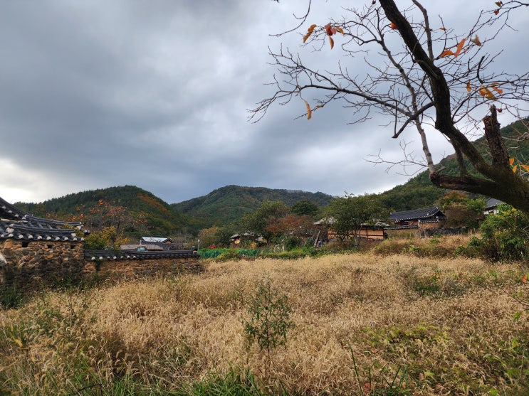 왕곡마을 강원도 고성 아이와 여행으로 가볼만한 곳 왕곡마을 강원도 고성 아이와 여행으로 가볼만한 곳