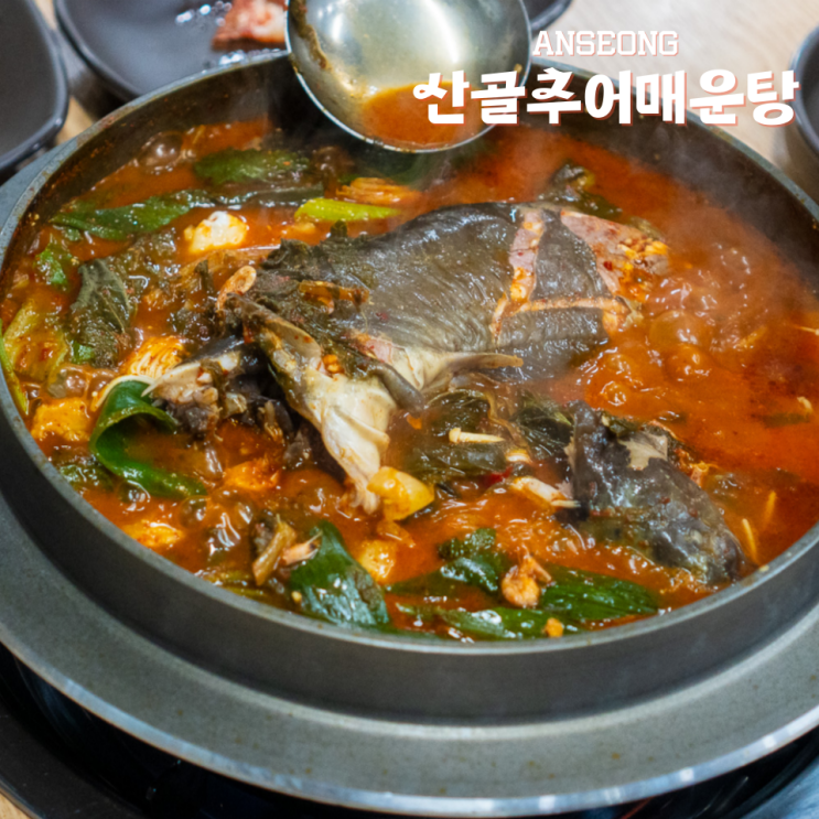  안성 양성 맛집 산골추어매운탕 메기매운탕 후기