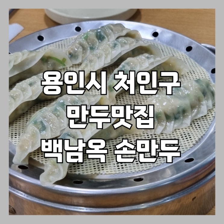 처인구 역북동 만두맛집 생활의 달인, 생생정보통, 아침 출연[백남옥손만두]