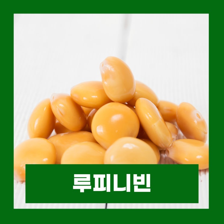  루피니빈 영양성분 효능 부작용 루핀콩 당뇨콩