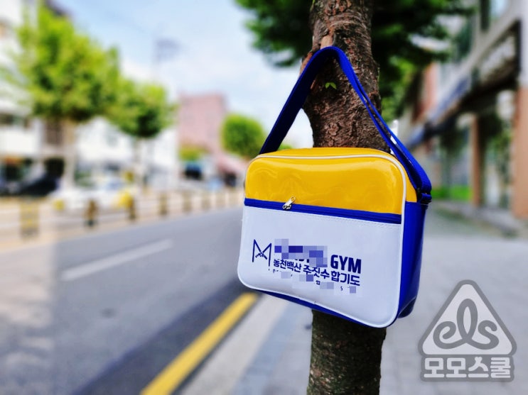  주짓수에 대해 알면 좋을 상식들(주짓수 뜻, 유래, 벨트 순서, 도복가방)