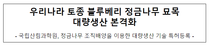 우리나라 토종 블루베리 정금나무 묘목 대량생산 본격화 우리나라 토종 블루베리 정금나무 묘목 대량생산 본격화