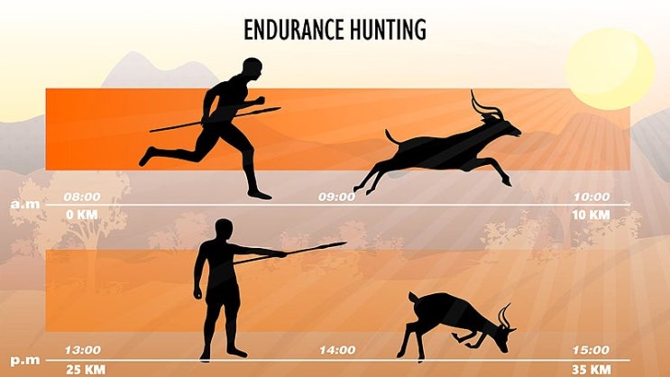 인류 최초의 사냥법에서 배우는 성공 전략 - 지구력 사냥