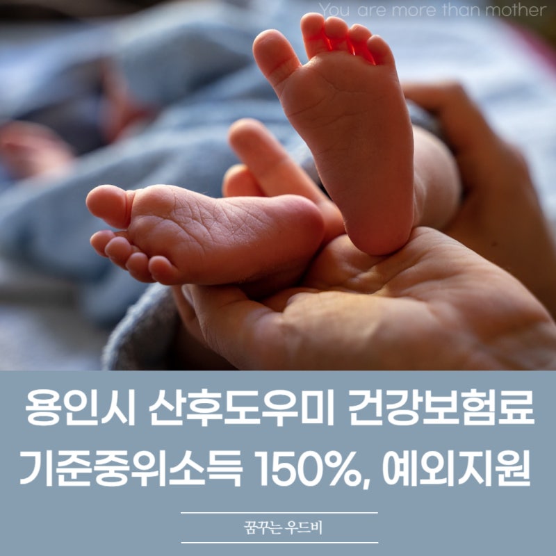 용인시 산후도우미 건강보험료 기준중위소득 150%, 예외지원 본인 부담금 얼마?