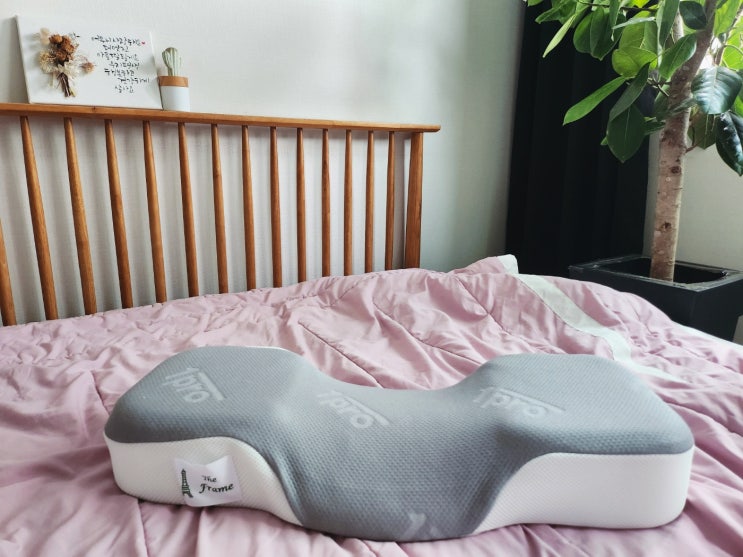 비싼만큼 값어치 톡톡히하는 메모리폼배게 비싼만큼 값어치 톡톡히하는 메모리폼배게