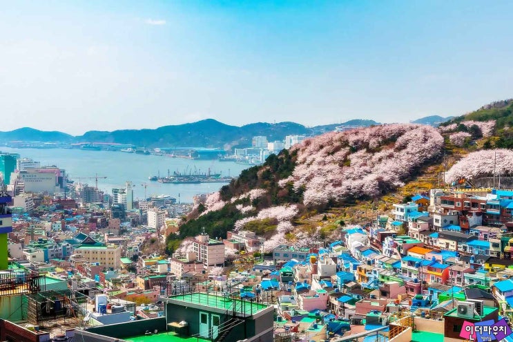  부산의 커플 데이트 명소 베스트5 (커플용품 콘돔 준비는필수!)