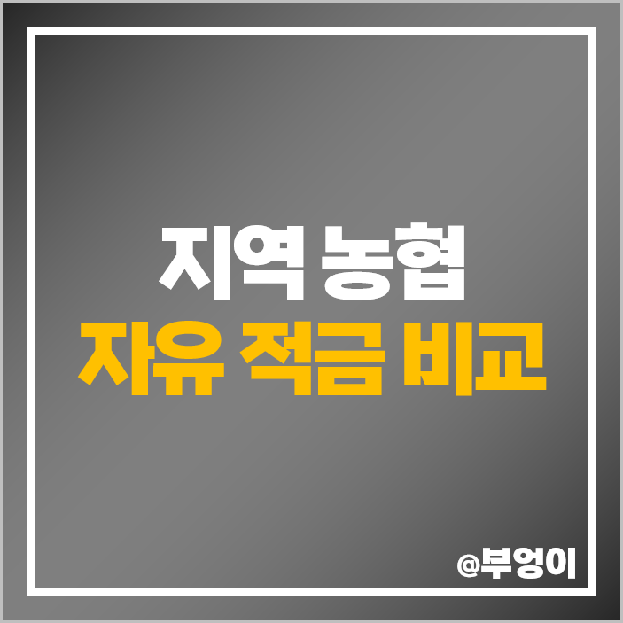 농협 금리 높은 적금 특판 비교 단기 6개월 자유적금 추천 농협 금리 높은 적금 특판 비교 단기 6개월 자유적금 추천