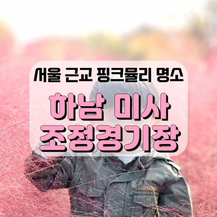 서울근교 핑크뮬리, 미사 조정경기장에 핑크뮬리가 가득이예요!