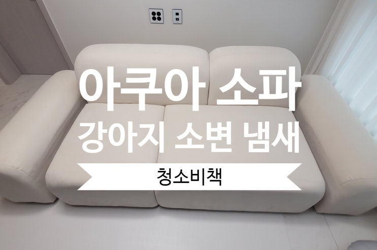  [송도/청라] 인천 연수구 소파 청소 아쿠아 쇼파 강아지 소변 오줌 냄새 제거