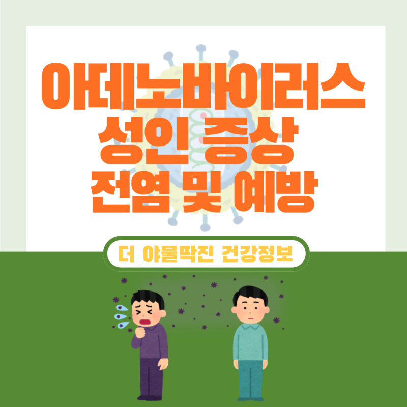 성인 아데노바이러스 증상 및 전염 예방 방법