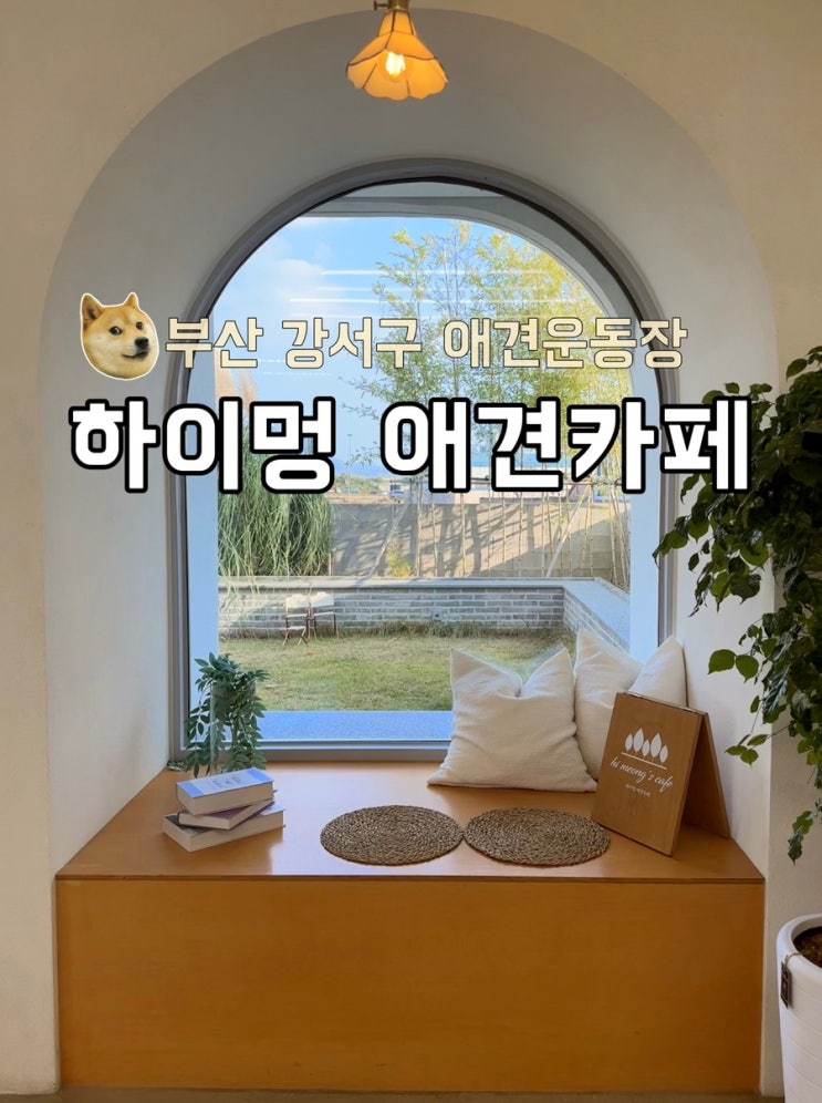 [부산] 강서구 애견운동장 하이멍애견카페 추천 (+방문후기)