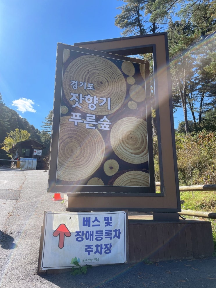  경기도 잣향기 푸른 숲 힐링 산책