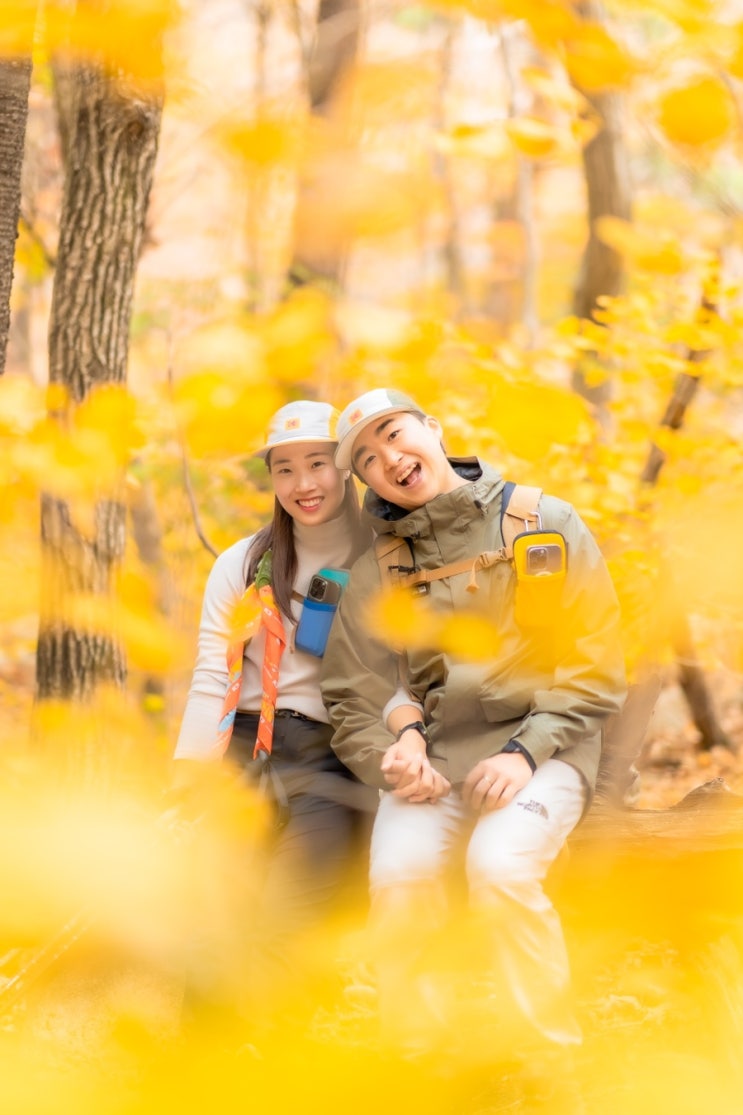  설악산 흘림골 오색약수터 등산코스 가을 단풍 산행