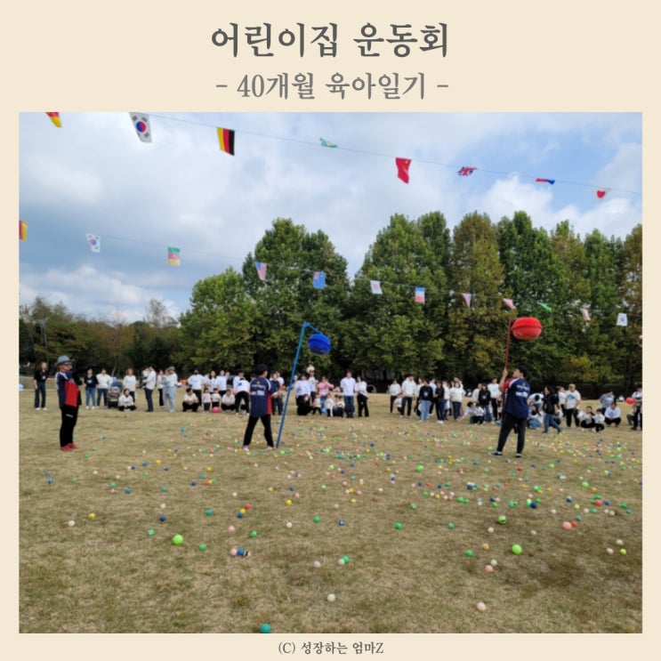  어린이집 운동회 기록 (행사, 간식, 도시락 등)