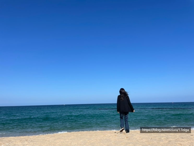  [여행/강릉] 1박 2일 국내 여행 - 소식가들의 강릉 여행기