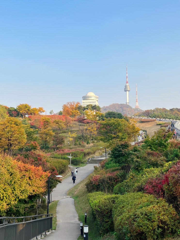  서울 가을 단풍 구경하기 좋은 곳 남산타워뷰 백범광장공원 방문꿀팁