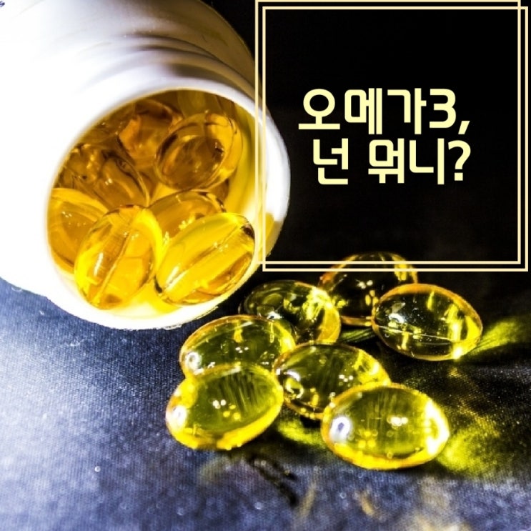  애터미 오메가3로 오메가3 선택 고민 해결