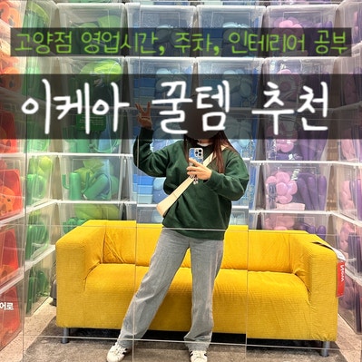  이케아 추천템 정리 필수템 수납장 인테리어