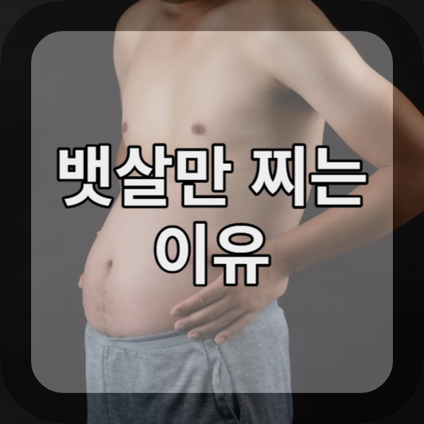  팔 다리는 가늘고 유난히 뱃살만 찌는 이유