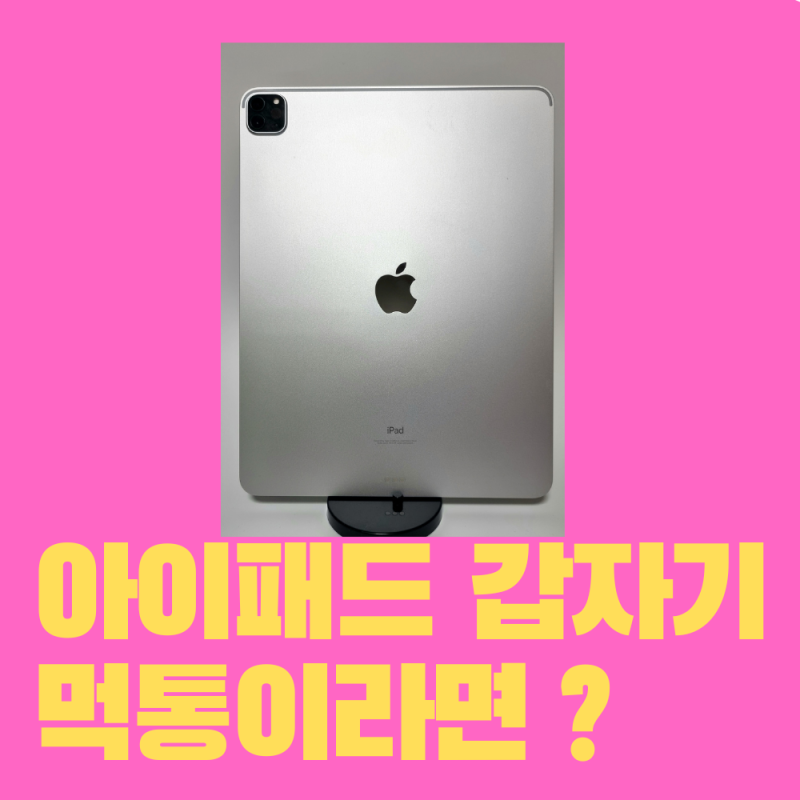 아이패드 강제 재부팅 및 초기화 방법.