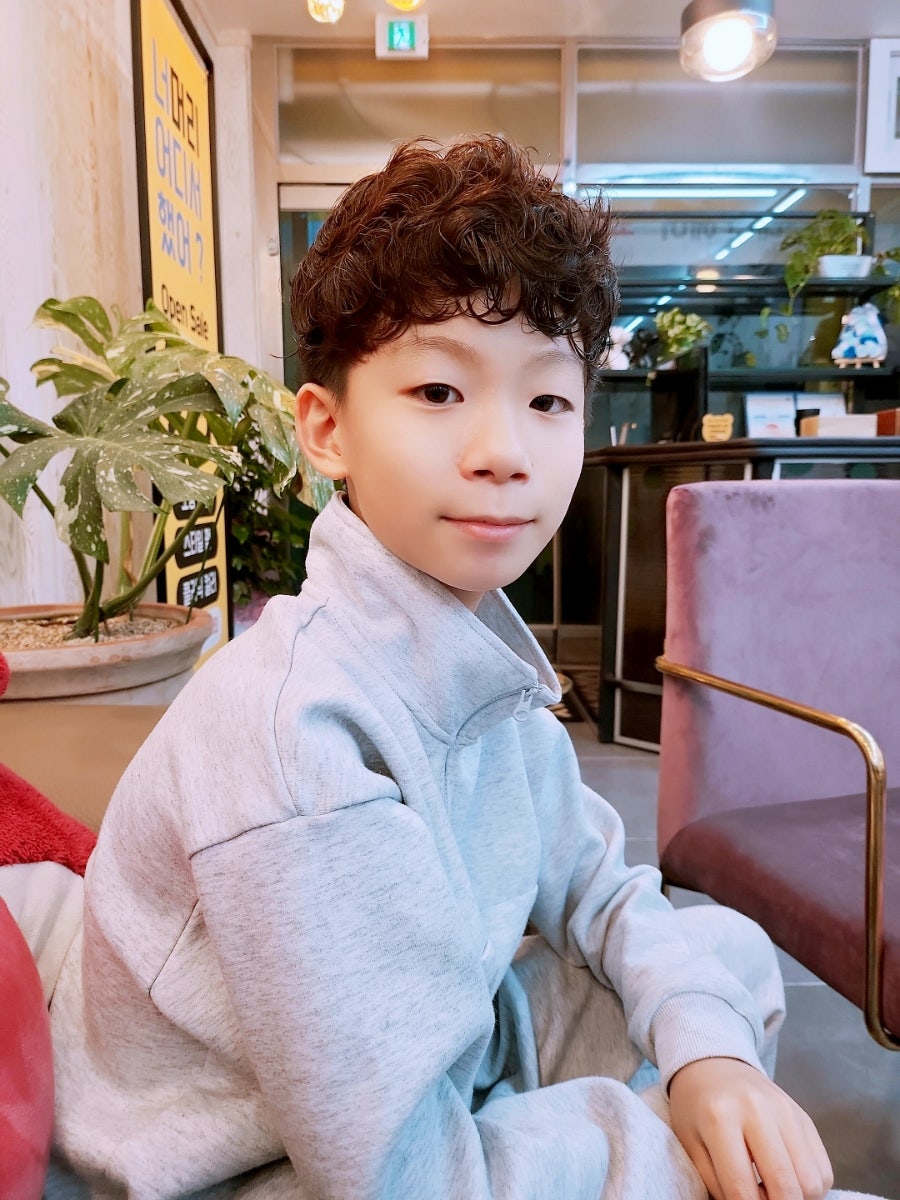 몬스테라헤어 사진 2