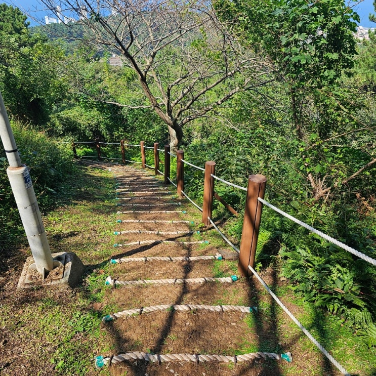  [제주 오름] 제주 시내 근처 가볼만한 오름 / 삼양해수욕장 근처 오름 / 왕복 20분만에 오르내리는 등린이 추천 "원당봉"