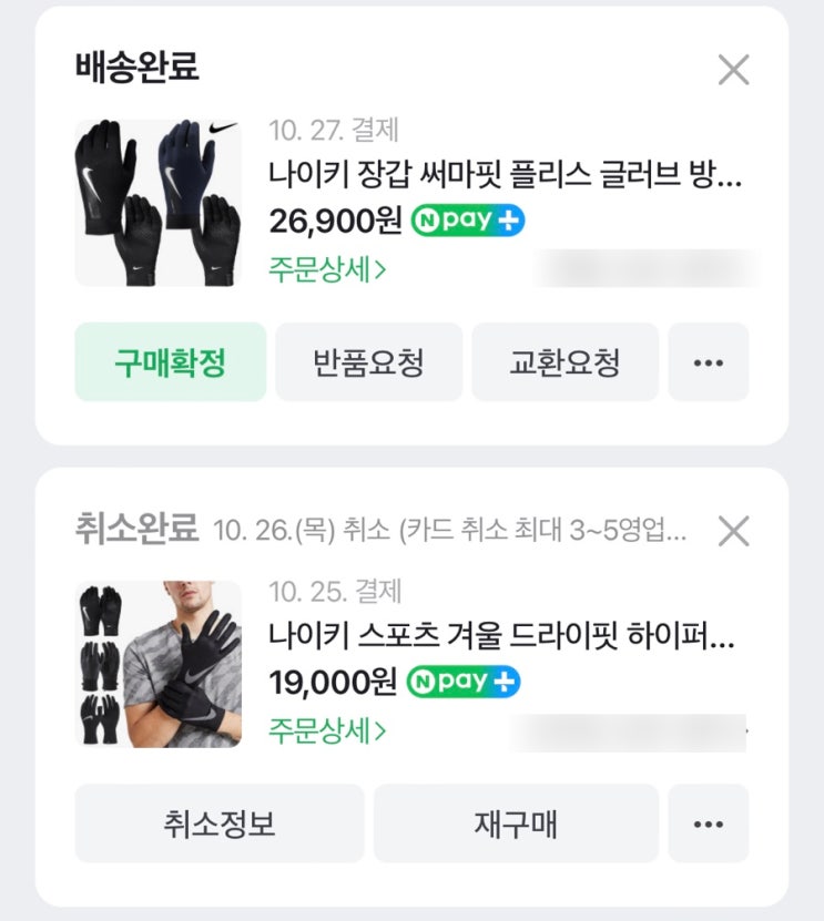  내돈내산 / 나이키 장갑 &드라이핏 긴팔 for 러닝