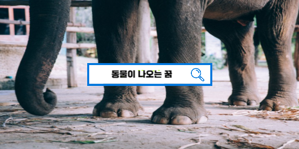 [무료꿈해몽] 동물이 나오는 꿈해몽 약200가지!