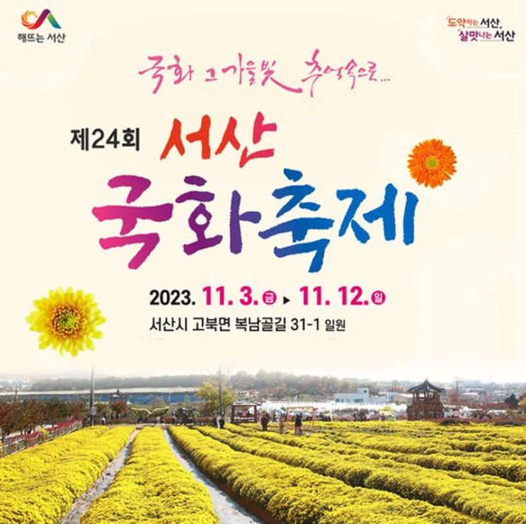 서산국화축제 (23.11.03~23.11.12) 서산국화축제 (23.11.03~23.11.12)