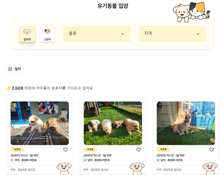  유기견 보호소, 강아지 안락사 전에 입양해요!