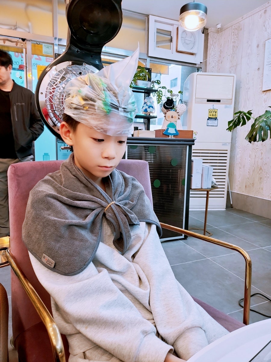 몬스테라헤어 사진 4