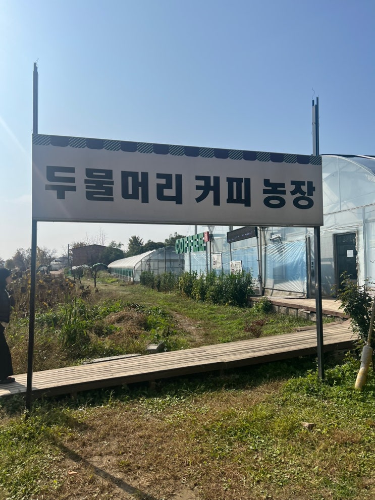  두물머리 커피 농장 집적 농사지는 커피로 만들어주는집!!