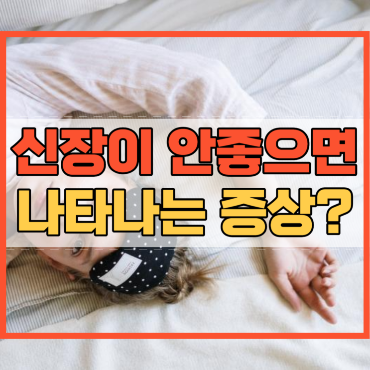  신장이 안좋으면 나타나는 증상은 무엇일까요?