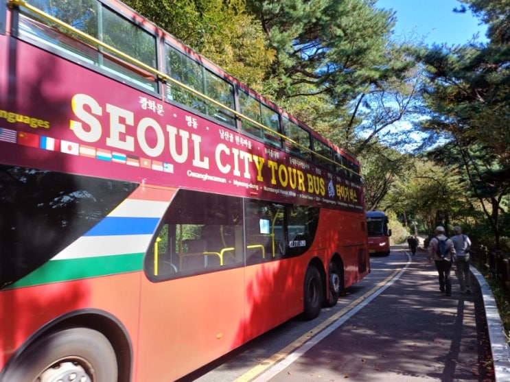  감기기운 있을때 10가지 꿀팁! 여행 때 챙길 소소한 준비물?