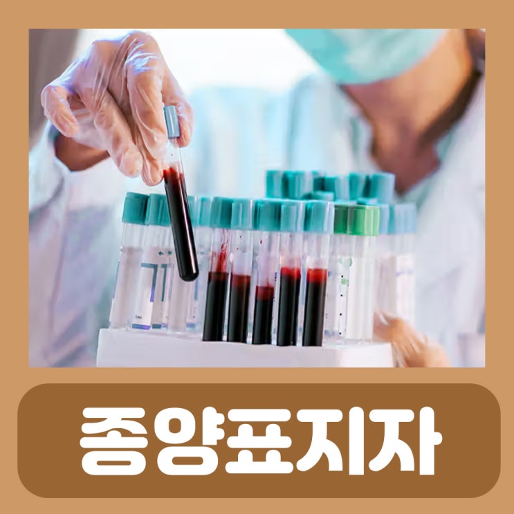  종양 표지자 검사 비용 AFP CEA PSA 수치