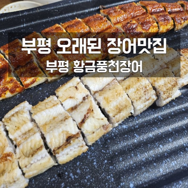  추천하는 부평 장어집 황금풍천장어