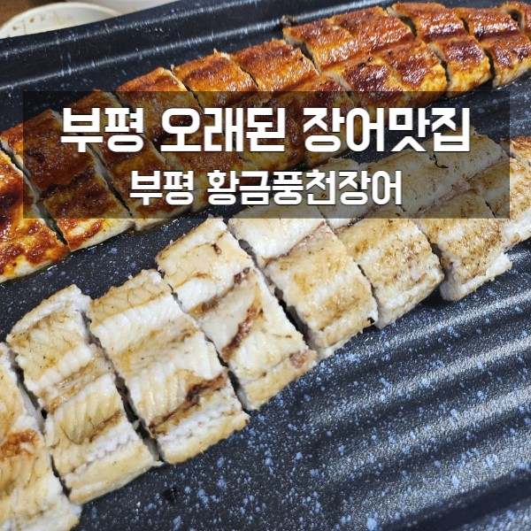 추천하는 부평 장어집 황금풍천장어