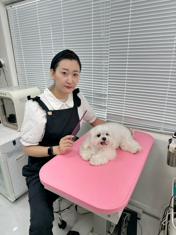 사진 8