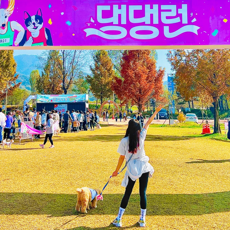  경기도 가평 자라섬 강아지 마라톤  강형욱 2023 댕댕런 캠페인 참가 후기