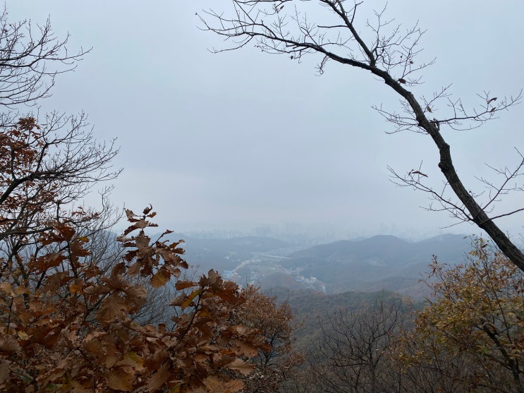  무봉산 등산을 하다