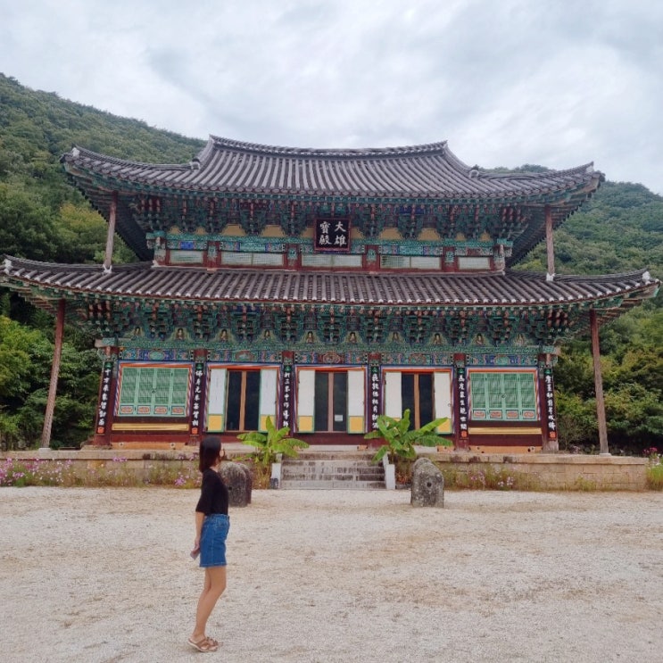  국내 조용한 여행지 전남 가볼만한 절 가지산 자락 장흥 보림사